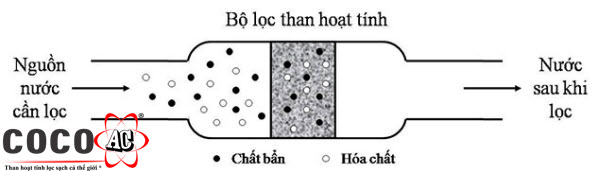 mua than hoạt tính ở đâu
