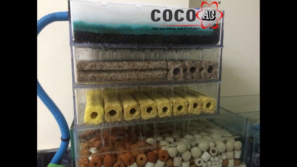  viên than hoạt tính bao nhiêu tiền