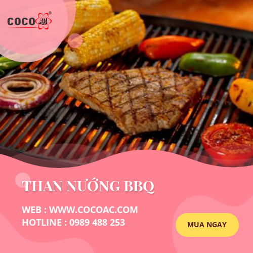 Than sạch nướng BBQ là nhu cầu tất yếu của người tiêu dùng