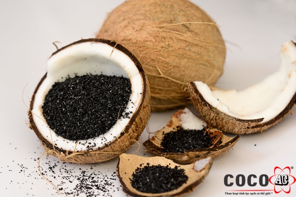 than hoạt tính bao nhiêu tiền